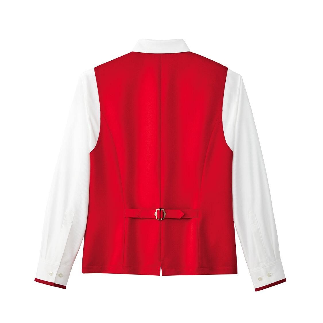 【ビコロール・ストライプ】男女兼用長袖ジレシャツ（ブラック）